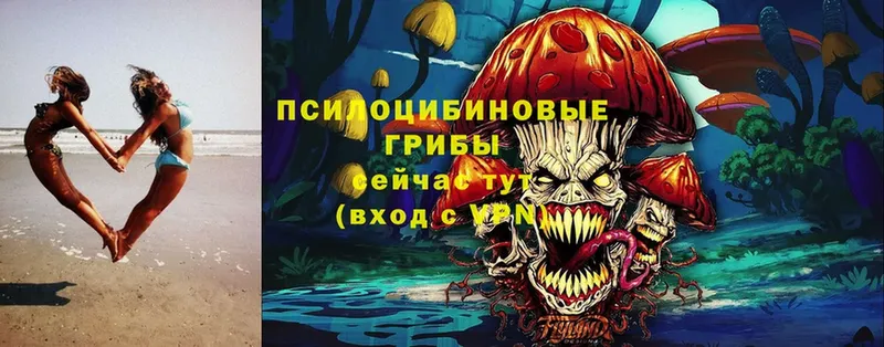 Галлюциногенные грибы Magic Shrooms  Карачев 